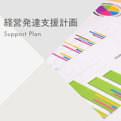 経営発達支援計画